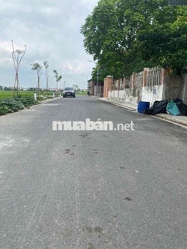 🏡 BÁN LÔ ĐẤT ĐẸP TẠI PHÚC MIỄU – HÒA PHONG – MỸ HÀO – HƯNG YÊN  📏 Diện