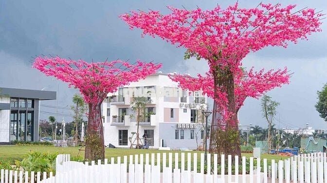 Bán đất nền tại Thị trấn Dầu Giây, Thống Nhất, Đồng Nai, 1,95 tỷ, 100m