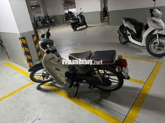 Honda Cub Cổ điển Xanh lá, trắng