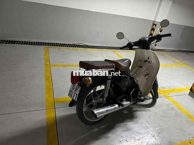 Honda Cub Cổ điển Xanh lá, trắng