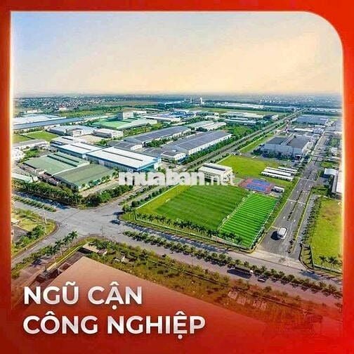 ĐẤT NỀN DỰ ÁN AGORA CITY, NÂNG TẦM GIÁ TRỊ NGÔI NHÀ VIỆT