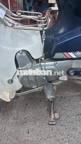 nhà thừa con cub zin chia lại