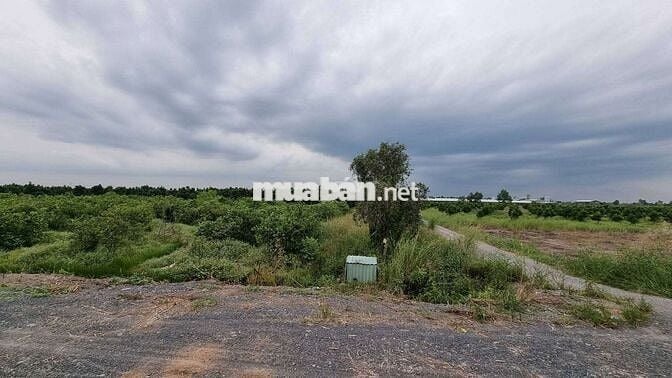 520mv MẶT TIỀN 12m ĐƯỜNG 2 XE TẢI TRÁNH NHAU 450rr/ Sổ