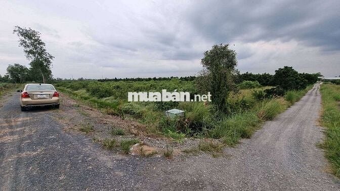 520mv MẶT TIỀN 12m ĐƯỜNG 2 XE TẢI TRÁNH NHAU 450rr/ Sổ