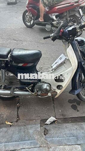 nhà thừa con cub zin chia lại