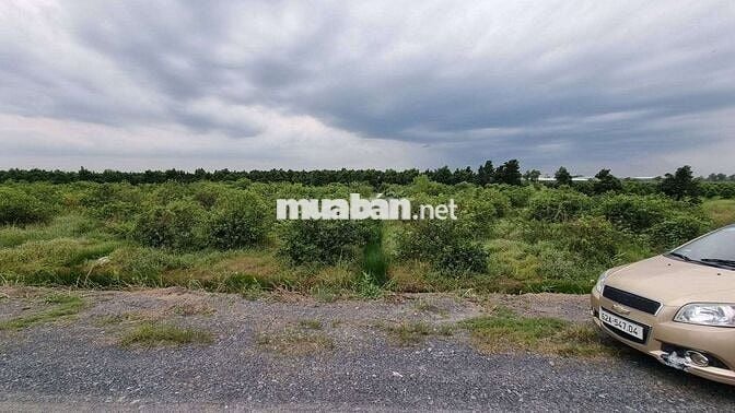 520mv MẶT TIỀN 12m ĐƯỜNG 2 XE TẢI TRÁNH NHAU 450rr/ Sổ