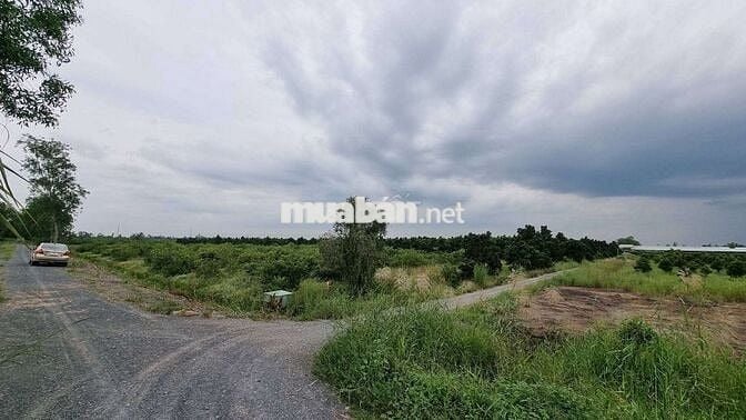 520mv MẶT TIỀN 12m ĐƯỜNG 2 XE TẢI TRÁNH NHAU 450rr/ Sổ