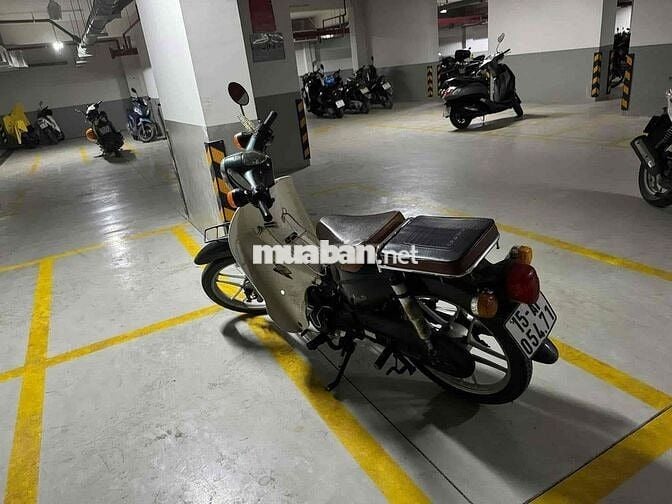 Honda Cub Cổ điển Xanh lá, trắng