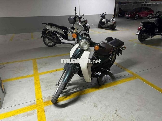 Honda Cub Cổ điển Xanh lá, trắng