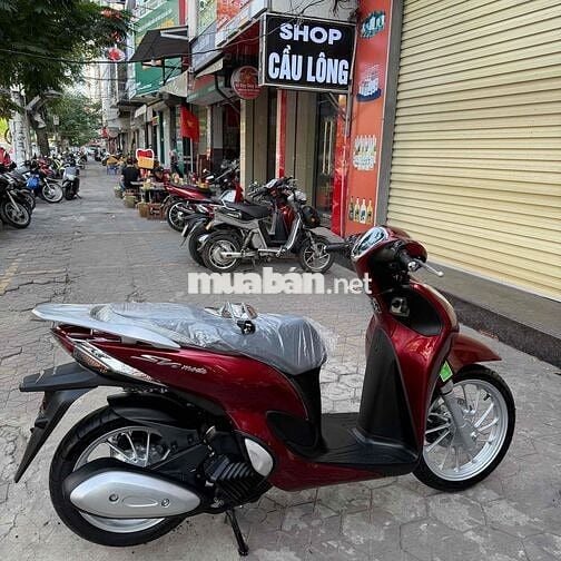 Bán-Xe Shmode 2025 new