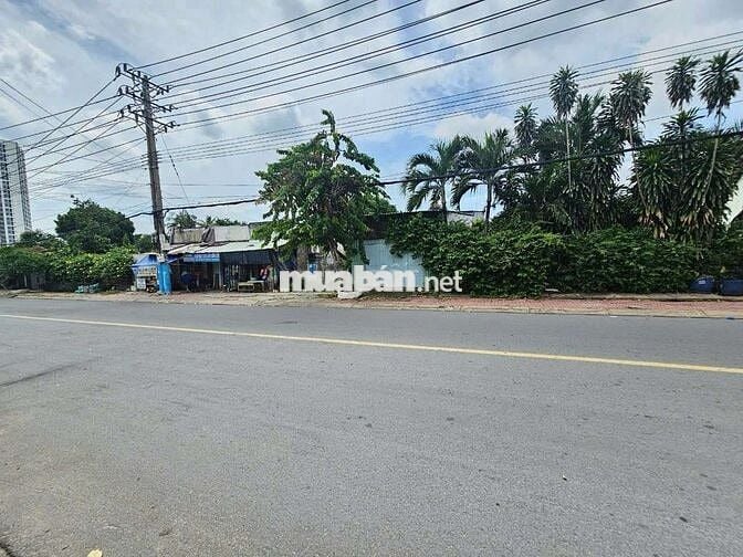 Đất mặt tiền đường Bình Thung phường Bình An Tp Dĩ An