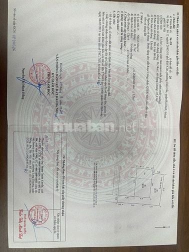 Bán nhà 7 tầng thang máy ngõ 204 Đội Cấn Ba Đình Hà Nội 