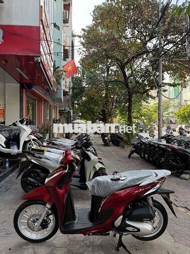 Bán-Xe Shmode 2025 new