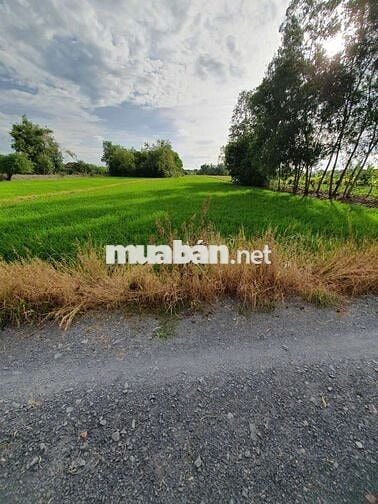 Định cư_bán Rẻ đất nhà có được kv Sinh thái An nhàn HƯNG LONG H.BC HCM