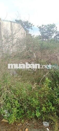 Bán lô đất đẹp Hòa Hải Ngũ Hành Sơn Đường 7m.5