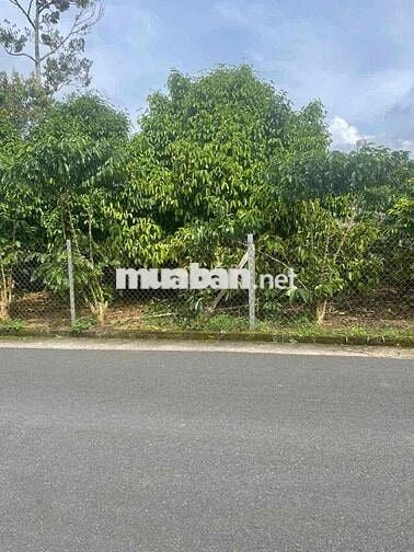 BÁN LÔ MẶT  TIỀN BIỆT THỰ LỮ GIA