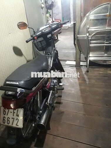 Dream lùn thái biển 4 số