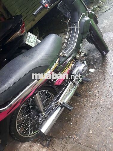 Dream lùn thái biển 4 số