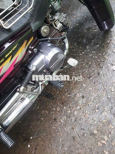 Dream lùn thái biển 4 số