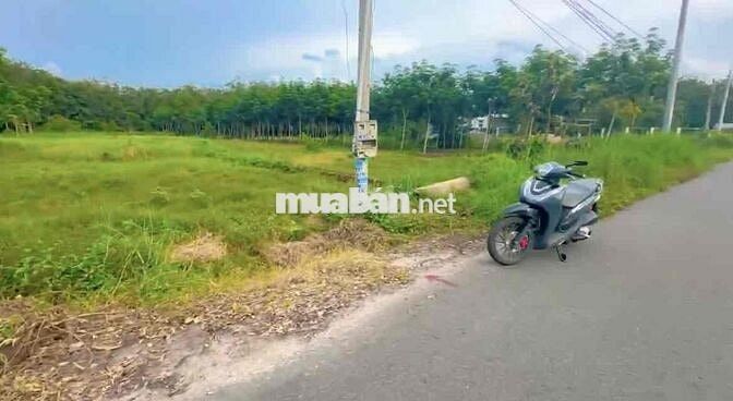 590TR RA NHANH ĐẤT 570M2 LAI UYÊN BÀU BÀNG SẴN THỔ CƯ-MT ĐƯỜNG NHỰA 8M