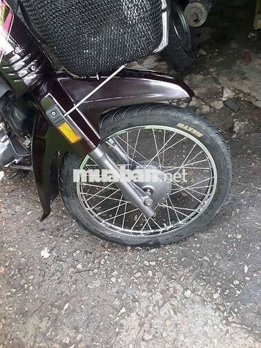 Dream lùn thái biển 4 số