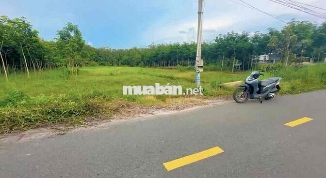 590TR RA NHANH ĐẤT 570M2 LAI UYÊN BÀU BÀNG SẴN THỔ CƯ-MT ĐƯỜNG NHỰA 8M