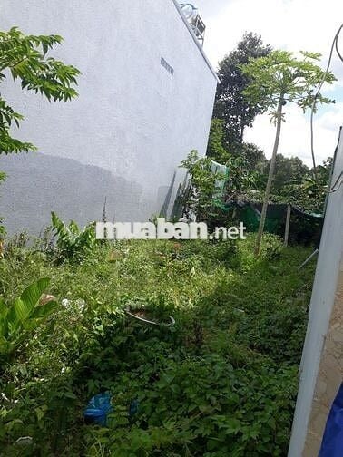 Bán đất nền khu dân cư 717 Phường 9, gần khu hành chính tỉnh Vĩnh Long