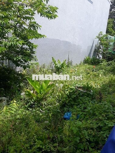 Bán đất nền khu dân cư 717 Phường 9, gần khu hành chính tỉnh Vĩnh Long