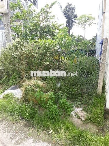 Bán đất nền khu dân cư 717 Phường 9, gần khu hành chính tỉnh Vĩnh Long