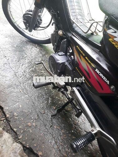 Dream lùn thái biển 4 số