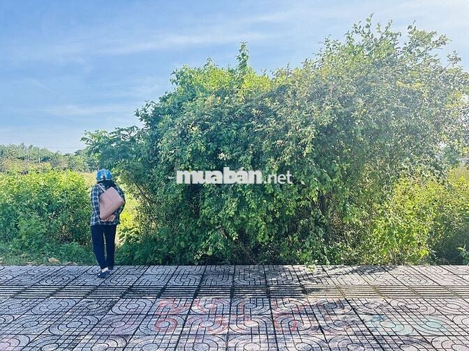 Chuyển nhượng đất nền khu hành chính tỉnh Vĩnh Long