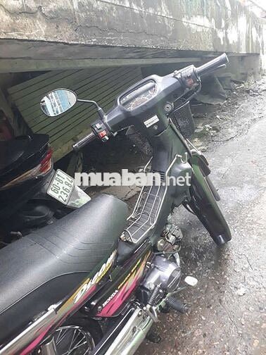 Dream lùn thái biển 4 số