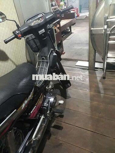 Dream lùn thái biển 4 số