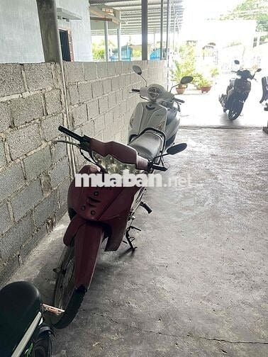 Honda Wave Alpha 2004 Đỏ