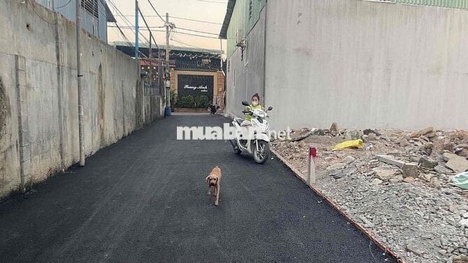 ĐẤT SÁT MẶT TIỀN QL13 SHR  4X18.75M.  66M2 THỔ VÀ 8M2 ĐẤT HÀNH LANG