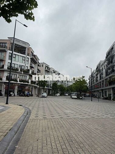 Cho thuê nhà tại The Manor Central Park