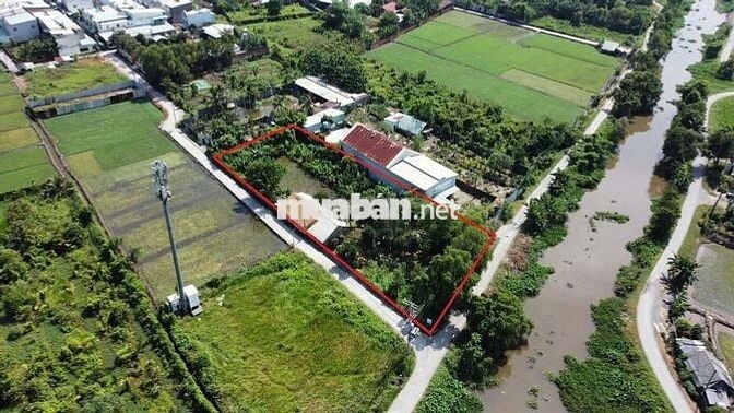Đất đẹp giá rẻ mtien rạch cây xanh