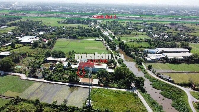 Đất đẹp giá rẻ mtien rạch cây xanh