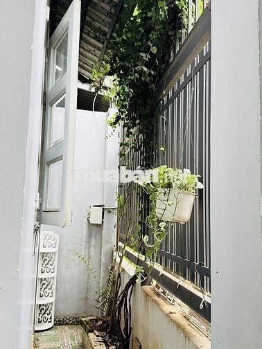 NHÀ CHÍNH CHỦ, LINH ĐÔNG, THỦ ĐỨC - CỰC RỘNG RÃI VÀ THOÁNG MÁT