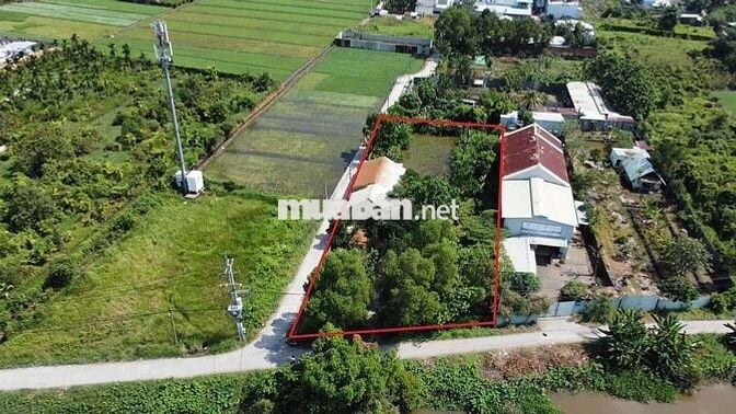 Đất đẹp giá rẻ mtien rạch cây xanh