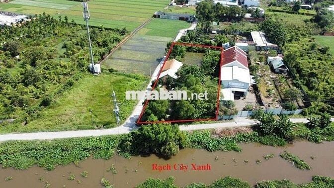 Đất đẹp giá rẻ mtien rạch cây xanh
