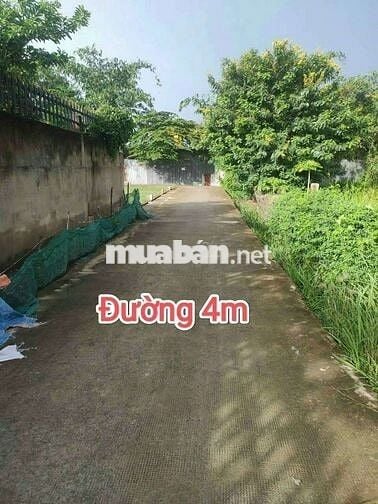 🆘🆘 CẦN BÁN 90m2 ĐẤT THỔ CƯ HẺM XE HƠI - GIÁ: 3ty