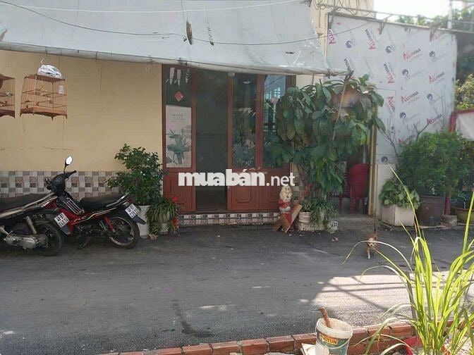 Cho thuê nhà cấp 4, mặt bằng kinh doanh