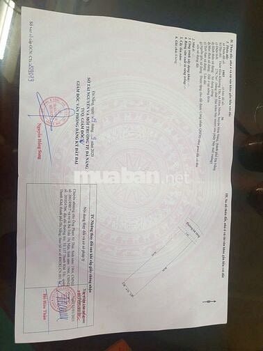 Cần bán nhà vườn diện tích rộng