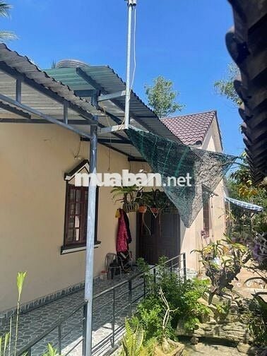 Cần bán nhà vườn diện tích rộng