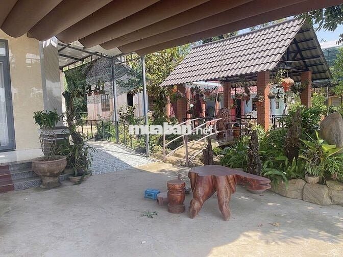 Cần bán nhà vườn diện tích rộng