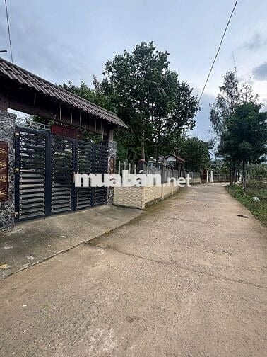 Cần bán nhà vườn diện tích rộng