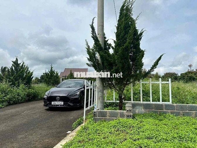 Lô đất thổ cư 550tr Rào sẳn cây ăn trái Lộc An