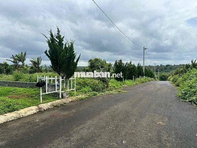 Lô đất thổ cư 550tr Rào sẳn cây ăn trái Lộc An