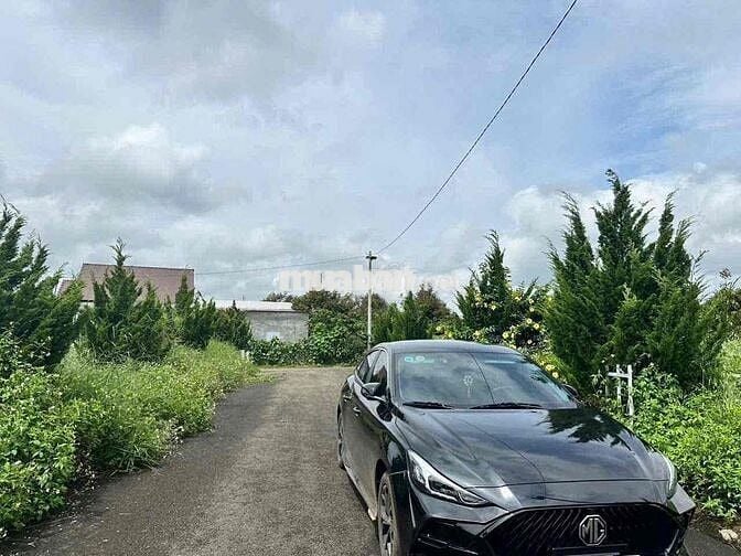 Lô đất thổ cư 550tr Rào sẳn cây ăn trái Lộc An